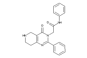 2-(4-keto-2-phenyl-5,6,7,8-tetrahydropyrido[4,3-d]pyrimidin-3-yl)-N-phenyl-acetamide