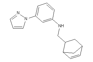 5-bicyclo[2.2.1]hept-2-enylmethyl-(3-pyrazol-1-ylphenyl)amine