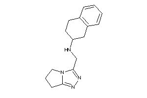 6,7-dihydro-5H-pyrrolo[2,1-c][1,2,4]triazol-3-ylmethyl(tetralin-2-yl)amine