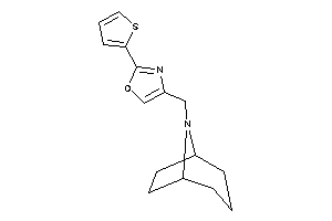 4-(8-azabicyclo[3.2.1]octan-8-ylmethyl)-2-(2-thienyl)oxazole