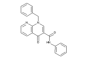 1-benzyl-4-keto-N-phenyl-1,8-naphthyridine-3-carboxamide