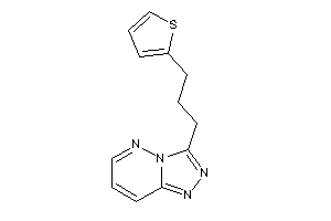 Image of 3-[3-(2-thienyl)propyl]-[1,2,4]triazolo[3,4-f]pyridazine