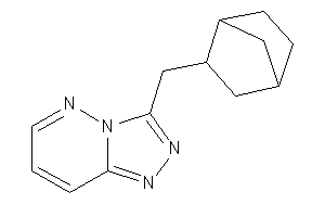 3-(2-norbornylmethyl)-[1,2,4]triazolo[3,4-f]pyridazine