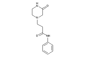 3-(3-ketopiperazino)-N-phenyl-propionamide