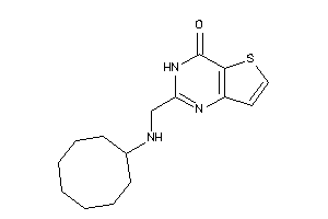 2-[(cyclooctylamino)methyl]-3H-thieno[3,2-d]pyrimidin-4-one