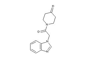 1-[2-(benzimidazol-1-yl)acetyl]-4-piperidone