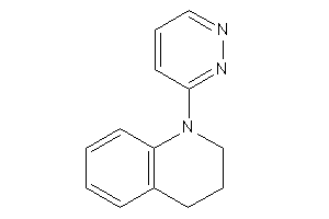 Image of 1-pyridazin-3-yl-3,4-dihydro-2H-quinoline