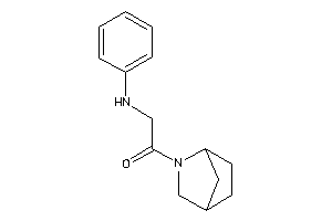 2-anilino-1-(5-azabicyclo[2.2.1]heptan-5-yl)ethanone