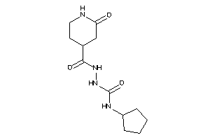 1-cyclopentyl-3-[(2-ketoisonipecotoyl)amino]urea