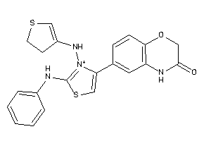 6-[2-anilino-3-(2,3-dihydrothiophen-4-ylamino)thiazol-3-ium-4-yl]-4H-1,4-benzoxazin-3-one