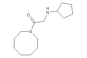 1-(azocan-1-yl)-2-(cyclopentylamino)ethanone
