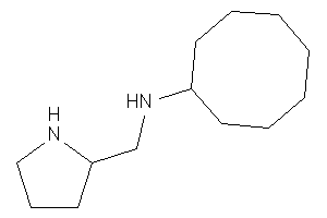 Cyclooctyl(pyrrolidin-2-ylmethyl)amine