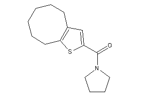 4,5,6,7,8,9-hexahydrocycloocta[b]thiophen-2-yl(pyrrolidino)methanone