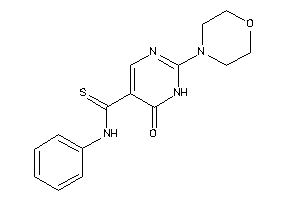 6-keto-2-morpholino-N-phenyl-1H-pyrimidine-5-carbothioamide