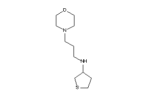 3-morpholinopropyl(tetrahydrothiophen-3-yl)amine