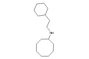 2-cyclohexylethyl(cyclooctyl)amine