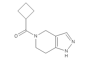Image of Cyclobutyl(1,4,6,7-tetrahydropyrazolo[4,3-c]pyridin-5-yl)methanone