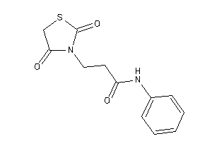 3-(2,4-diketothiazolidin-3-yl)-N-phenyl-propionamide