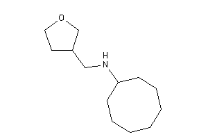 Cyclooctyl(tetrahydrofuran-3-ylmethyl)amine