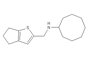 Cyclooctyl(5,6-dihydro-4H-cyclopenta[b]thiophen-2-ylmethyl)amine