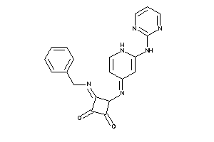 Image of 3-benzylimino-4-[[2-(2-pyrimidylamino)-1H-pyridin-4-ylidene]amino]cyclobutane-1,2-quinone