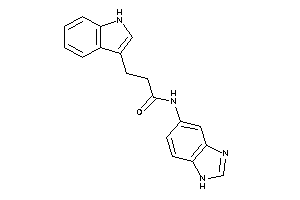 N-(1H-benzimidazol-5-yl)-3-(1H-indol-3-yl)propionamide