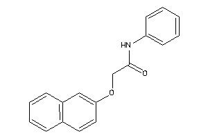 2-(2-naphthoxy)-N-phenyl-acetamide