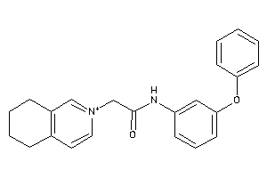 N-(3-phenoxyphenyl)-2-(5,6,7,8-tetrahydroisoquinolin-2-ium-2-yl)acetamide