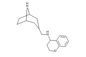 8-azabicyclo[3.2.1]octan-3-ylmethyl(chroman-4-yl)amine