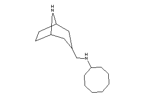 8-azabicyclo[3.2.1]octan-3-ylmethyl(cyclooctyl)amine