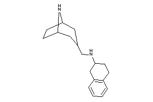 8-azabicyclo[3.2.1]octan-3-ylmethyl(tetralin-2-yl)amine