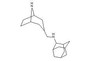 2-adamantyl(8-azabicyclo[3.2.1]octan-3-ylmethyl)amine