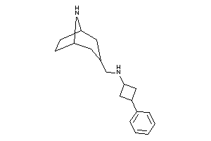 8-azabicyclo[3.2.1]octan-3-ylmethyl-(3-phenylcyclobutyl)amine