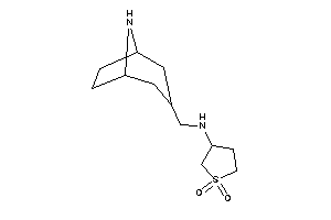 8-azabicyclo[3.2.1]octan-3-ylmethyl-(1,1-diketothiolan-3-yl)amine