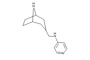 8-azabicyclo[3.2.1]octan-3-ylmethyl(4-pyridyl)amine