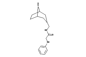 2-anilino-N-(8-azabicyclo[3.2.1]octan-3-ylmethyl)acetamide