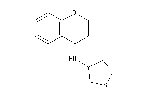 Chroman-4-yl(tetrahydrothiophen-3-yl)amine