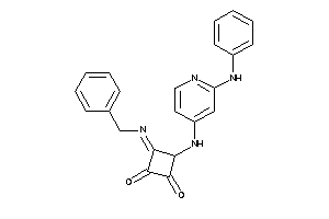 3-[(2-anilino-4-pyridyl)amino]-4-benzylimino-cyclobutane-1,2-quinone