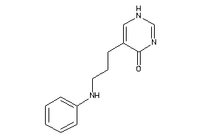5-(3-anilinopropyl)-1H-pyrimidin-4-one
