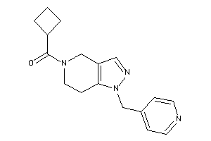 Image of Cyclobutyl-[1-(4-pyridylmethyl)-6,7-dihydro-4H-pyrazolo[4,3-c]pyridin-5-yl]methanone