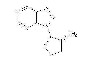 Image of 9-(3-methylenetetrahydrofuran-2-yl)purine