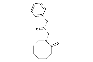 Image of 2-(2-ketoazocan-1-yl)acetic Acid Phenyl Ester