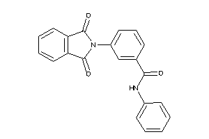 N-phenyl-3-phthalimido-benzamide