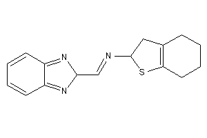 2H-benzimidazol-2-ylmethylene(2,3,4,5,6,7-hexahydrobenzothiophen-2-yl)amine