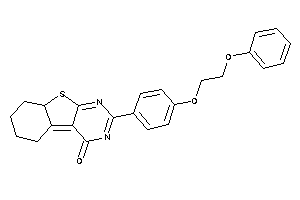 2-[4-(2-phenoxyethoxy)phenyl]-6,7,8,8a-tetrahydro-5H-benzothiopheno[2,3-d]pyrimidin-4-one