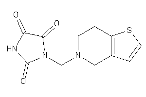 1-(6,7-dihydro-4H-thieno[3,2-c]pyridin-5-ylmethyl)imidazolidine-2,4,5-trione