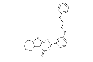 2-[3-(2-phenoxyethoxy)phenyl]-6,7,8,8a-tetrahydro-5H-benzothiopheno[2,3-d]pyrimidin-4-one