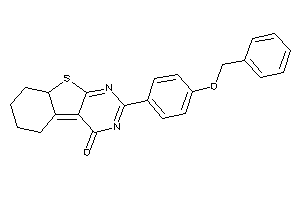 2-(4-benzoxyphenyl)-6,7,8,8a-tetrahydro-5H-benzothiopheno[2,3-d]pyrimidin-4-one