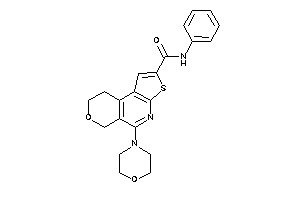 Morpholino-N-phenyl-BLAHcarboxamide