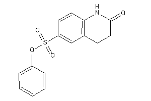 2-keto-3,4-dihydro-1H-quinoline-6-sulfonic Acid Phenyl Ester